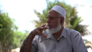 ايابـاً : عين غزال المهجرة مع سعيد سلامه و محمد عبد الحق