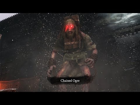 Vidéo 1