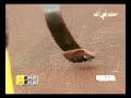 Oscar Pistorius vs Linkin' Park at Golden Gala 2007