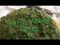 The Hippy Gourmet makes Roasted Potatoes with Kale Pesto The Hippy Gourmet makes Roasted Potatoes with Kale Pesto