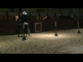 rancho california - tabio. Sebitas presentando a sacramento.  paso fino