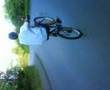 ♥Rosbach in Aktion