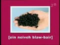 Swedish for beginners ~