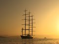 the maltese falcon