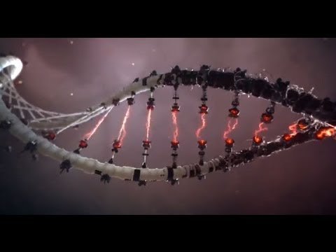 Theory of DNA Science – MESSAGE FROM GOD