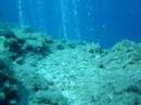 SCUBA Diving - Turker #2