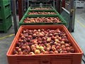 banc aliments fruita