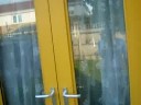 Shirlena 4