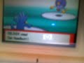 Beating the third elite four Flint
