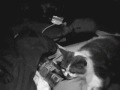 Jack the cat.
