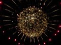 Huge 16\" Shell Firework