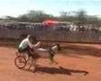mad,funny, goat race
