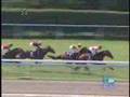 200707212歳新馬マイネレーツェル