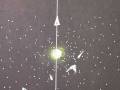 videos de Starlight - Animation by Clare Thompson