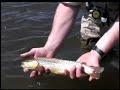 Grand County Colorado Fishing