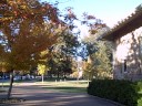 A Walk around Sewanee 3