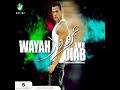Amr Diab Einy Wana Shayfo عمرو دياب عيني و انا شايفو حصريا 2009