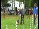 Gjøvik Marken 2008
