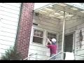 Exploding Wasp Nest