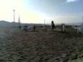 laura rodriguez competicion en hipica 60cm.3gp