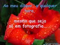 O Passeio da Boa Vista