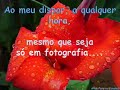 O Passeio da Boa Vista