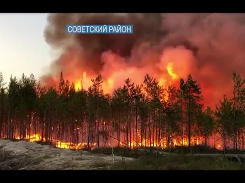В Советском районе из-за лесных пожаров введен режим ЧС.