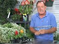 Gardening Tools & Accessories : Gardening with Rakes Gardening Tools & Accessories : Gardening with Rakes