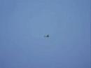 Flugspass im Schnee