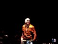 Pitbull 305