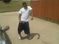 Dallas Boogie