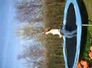 mii backflip