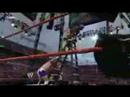Wrestlemania 25(remix)