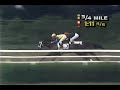Risen Star - 1988 Belmont Stakes (Dave Johnson\