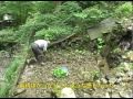 [画像]
