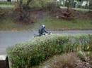 Burnout mit ner Suzuki gs 500 Burnout mit ner Suzuki gs 500