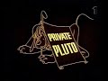 chip and dale and pluto   private pluto
