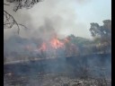 Mottola, 24 luglio 2007: incendio a Sant'Antuono (2)