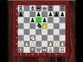 Letsplaychess.com presents Kasparov vs Illescas