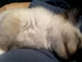 This video was uploaded from an Android phone.