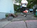 Crawler test run