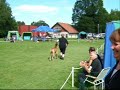 Willow utstallning 070805