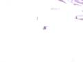 Click here to watch this video skiig day 2 043 vid