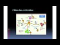 Click to View : Traitements vascularites des gros vaisseaux - Pr. LAVIGNE - CHU ANGERS nov. 2018