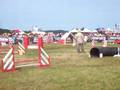 jumping equipe virgule et alex
