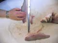 COME SFILETTARE UN PESCE...!!! YEHAA COME SFILETTARE UN PESCE...!!! YEHAA