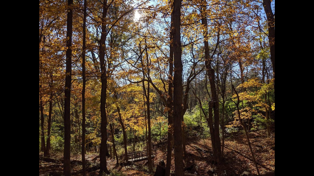 Creation Care Sunday 2