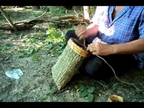 how to harvest slippery elm bark