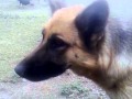 Don Hector de Guatimozín - YouTube
