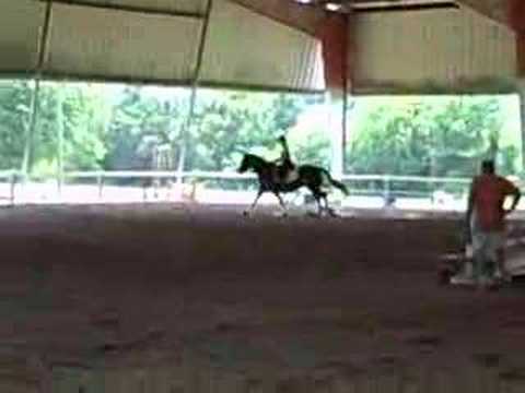 Schooling Jumper